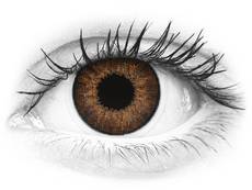 Lentilles de contact effet naturel Marron - correctrices - Air Optix (2 lentilles)