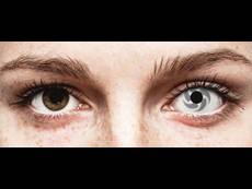 Lentilles de contact Gris Blade - ColourVue Crazy (2 lentilles)