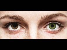 Lentilles de contact Vert - TopVue Color (10 lentilles journalières)