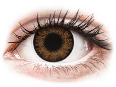 ColourVue One Day TruBlends Hazel - correctrices (10 lentilles)