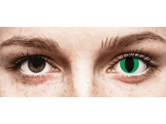 CRAZY LENS - Cat Eye Green - journalières non correctrices (2 lentilles)