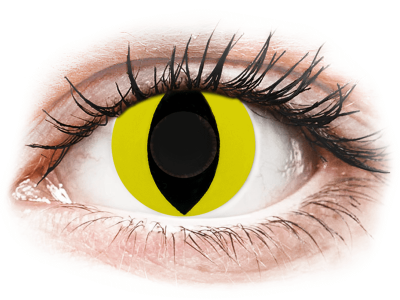 CRAZY LENS - Cat Eye Yellow - journalières non correctrices (2 lentilles)