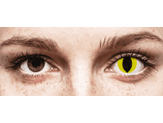 CRAZY LENS - Cat Eye Yellow - journalières non correctrices (2 lentilles)